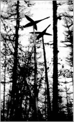 Иллюстрация к книге — Мистерия созвездия Лебедя [i_016.jpg]