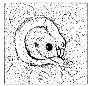 Иллюстрация к книге — Мистерия созвездия Лебедя [i_028.jpg]