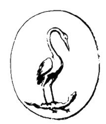 Иллюстрация к книге — Мистерия созвездия Лебедя [i_035.jpg]