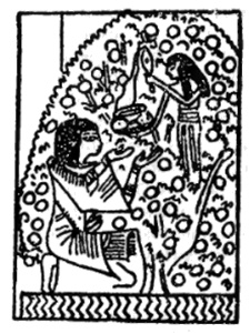 Иллюстрация к книге — Мистерия созвездия Лебедя [i_040.jpg]