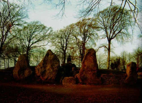 Иллюстрация к книге — Мистерия созвездия Лебедя [i_056.jpg]