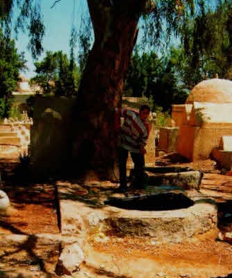 Иллюстрация к книге — Мистерия созвездия Лебедя [i_062.jpg]