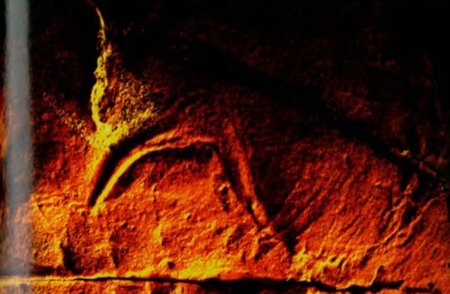 Иллюстрация к книге — Мистерия созвездия Лебедя [i_067.jpg]