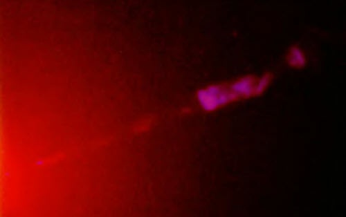 Иллюстрация к книге — Мистерия созвездия Лебедя [i_071.jpg]