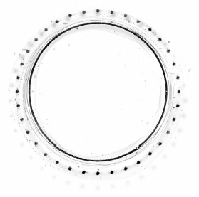 Иллюстрация к книге — Двенадцать ночей [i_011.jpg]