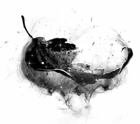 Иллюстрация к книге — Двенадцать ночей [i_021.jpg]