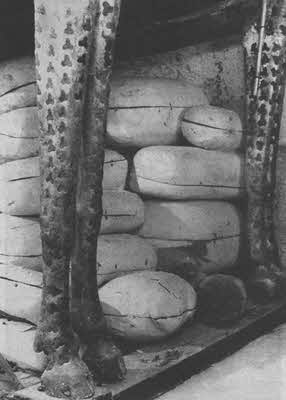 Иллюстрация к книге — Пророчества Тутанхамона [i_070.jpg]