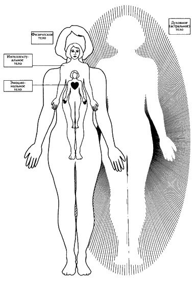 Иллюстрация к книге — Пророчества Тутанхамона [i_140.jpg]