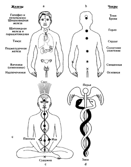 Иллюстрация к книге — Пророчества Тутанхамона [i_156.jpg]