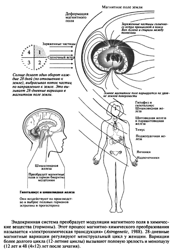 Иллюстрация к книге — Пророчества Тутанхамона [i_168.jpg]