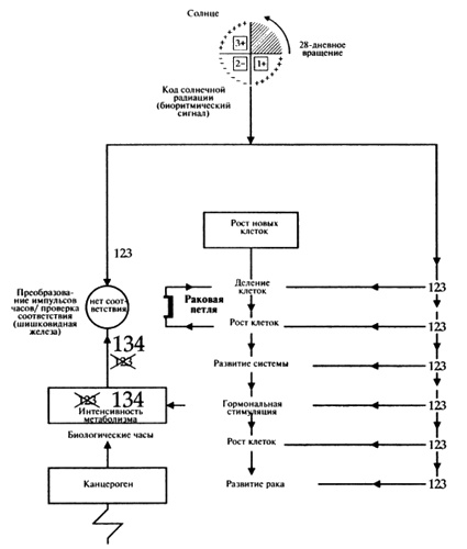 Иллюстрация к книге — Пророчества Тутанхамона [i_174.jpg]