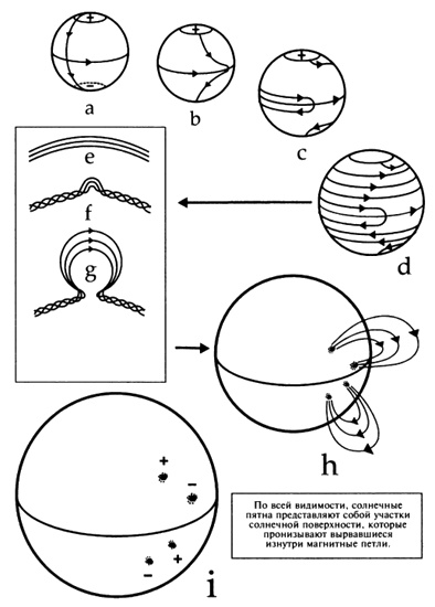 Иллюстрация к книге — Пророчества Тутанхамона [i_175.jpg]