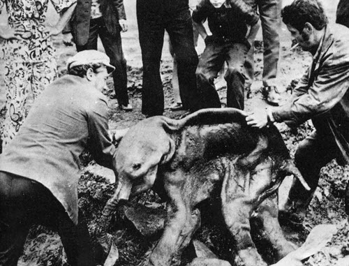 Иллюстрация к книге — Сверхбоги. Они спасли человечество... [i_007.jpg]