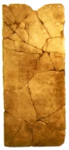 Иллюстрация к книге — Сверхбоги. Они спасли человечество... [i_024.jpg]