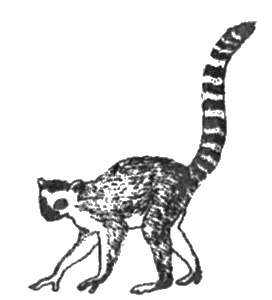 Иллюстрация к книге — Сверхбоги. Они спасли человечество... [i_084.jpg]