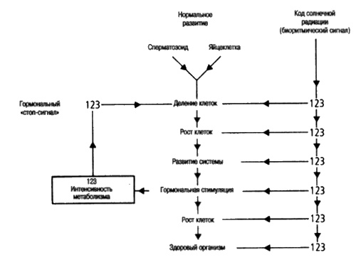 Иллюстрация к книге — Сверхбоги. Они спасли человечество... [i_136.jpg]