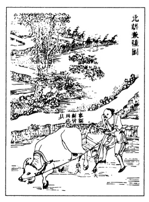 Иллюстрация к книге — Хранители гробницы [i_029.jpg]