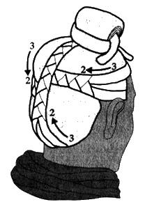 Иллюстрация к книге — Хранители гробницы [i_067.jpg]