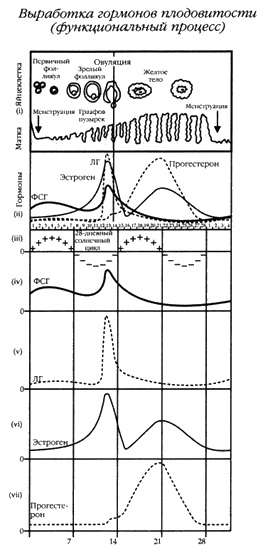 Иллюстрация к книге — Хранители гробницы [i_100.jpg]