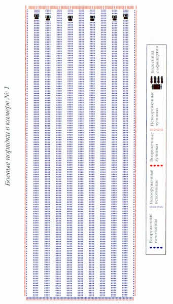 Иллюстрация к книге — Хранители гробницы [i_181.jpg]