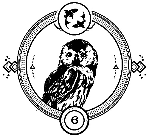 Иллюстрация к книге — Пандемониум. 4. Букет увядших орхидей [i_006.jpg]