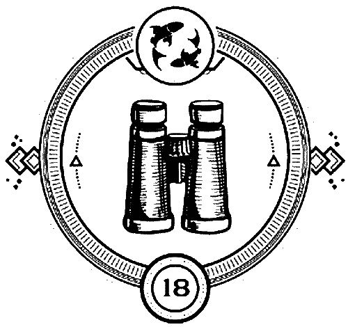 Иллюстрация к книге — Пандемониум. 4. Букет увядших орхидей [i_018.jpg]