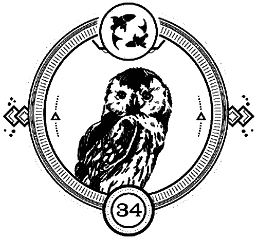 Иллюстрация к книге — Пандемониум. 4. Букет увядших орхидей [i_034.jpg]