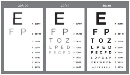 Иллюстрация к книге — Думай медленно – предсказывай точно. Искусство и наука предвидеть опасность [i_007.jpg]