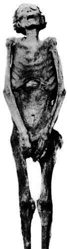 Иллюстрация к книге — Ключ Хирама [i_013.jpg]