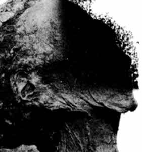 Иллюстрация к книге — Ключ Хирама [i_014.jpg]