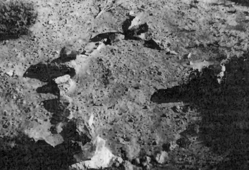 Иллюстрация к книге — Боги с небес [i_005.jpg]