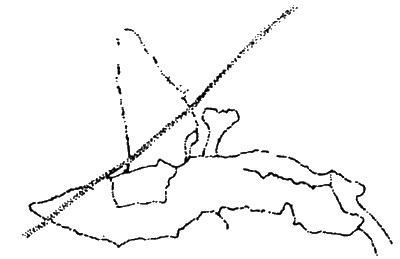 Иллюстрация к книге — Боги с небес [i_036.jpg]