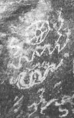 Иллюстрация к книге — Боги с небес [i_060.jpg]