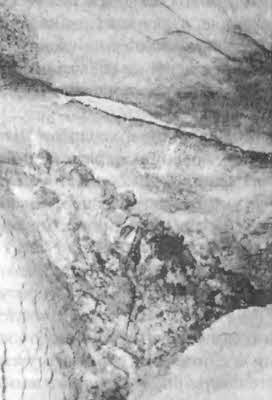 Иллюстрация к книге — Боги с небес [i_062.jpg]