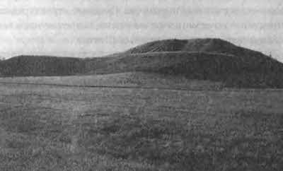 Иллюстрация к книге — Боги с небес [i_148.jpg]