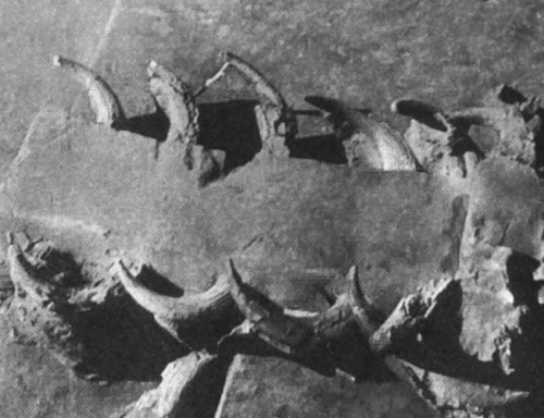 Иллюстрация к книге — Боги, построившие пирамиды. Египет до фараонов [i_070.jpg]