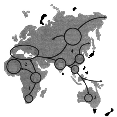 Иллюстрация к книге — Боги, построившие пирамиды. Египет до фараонов [i_072.jpg]