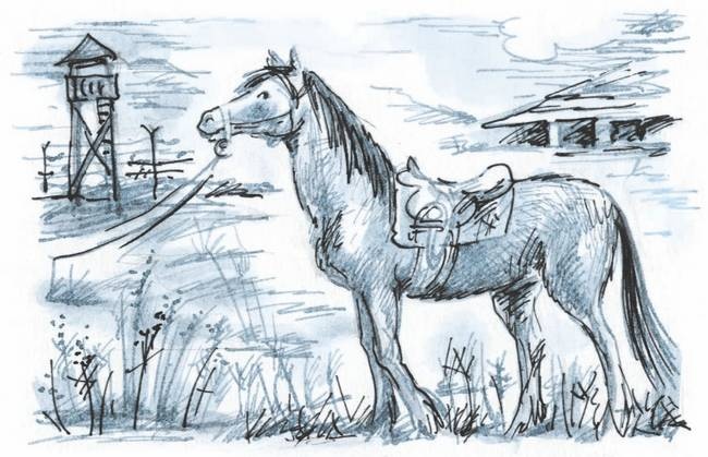 Иллюстрация к книге — Сахарный ребенок. История девочки из прошлого века, рассказанная Стеллой Нудольской [i_007.jpg]