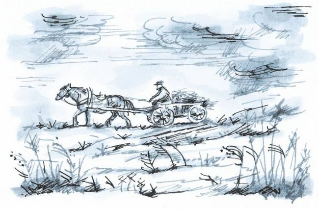 Иллюстрация к книге — Сахарный ребенок. История девочки из прошлого века, рассказанная Стеллой Нудольской [i_008.jpg]