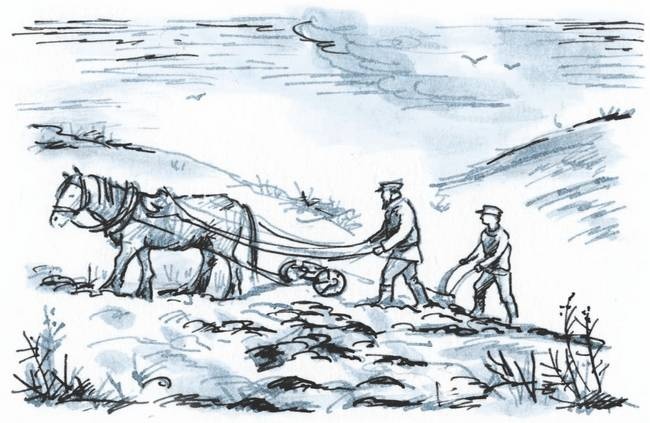 Иллюстрация к книге — Сахарный ребенок. История девочки из прошлого века, рассказанная Стеллой Нудольской [i_010.jpg]