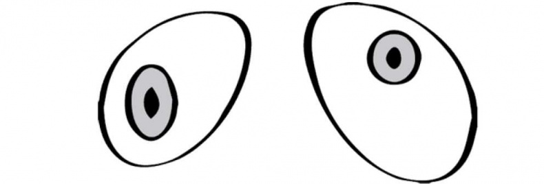 Иллюстрация к книге — Болезни, в которые играют люди [_52.jpg]