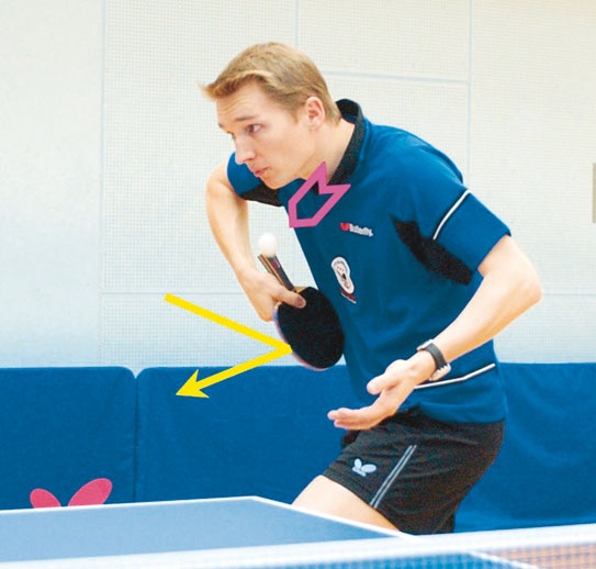 Иллюстрация к книге — Настольный теннис. Руководство от чемпиона мира [i_031.jpg]