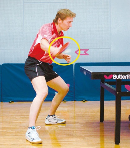 Иллюстрация к книге — Настольный теннис. Руководство от чемпиона мира [i_060.jpg]