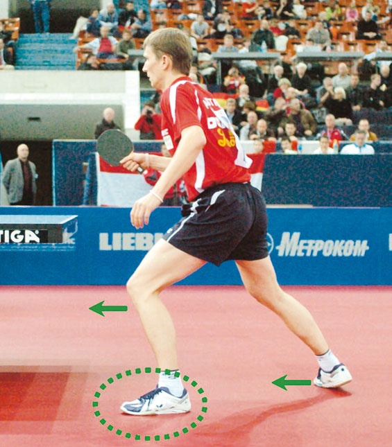 Иллюстрация к книге — Настольный теннис. Руководство от чемпиона мира [i_070.jpg]