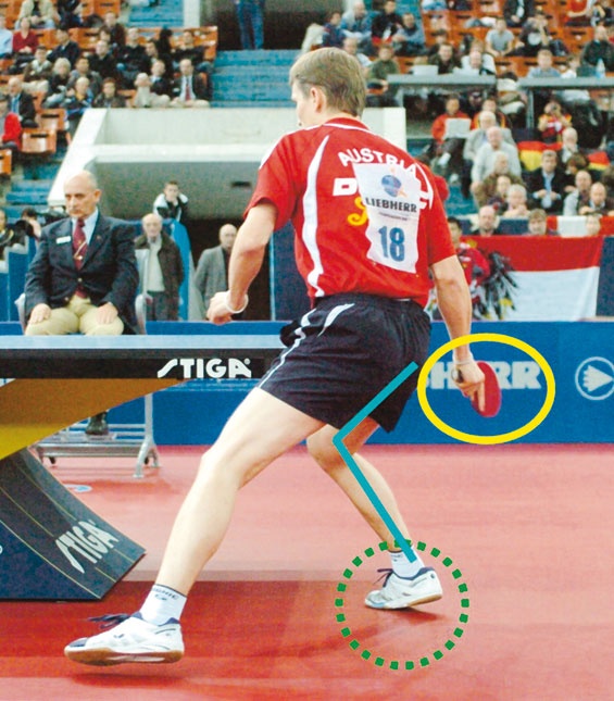 Иллюстрация к книге — Настольный теннис. Руководство от чемпиона мира [i_073.jpg]