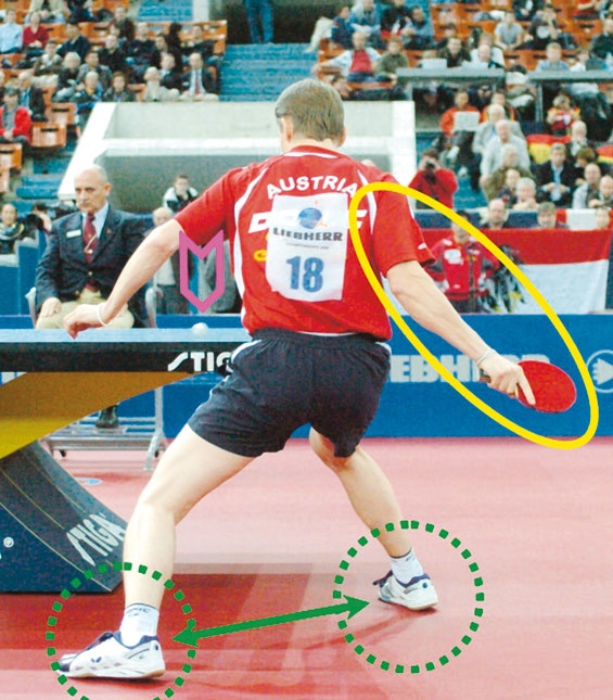 Иллюстрация к книге — Настольный теннис. Руководство от чемпиона мира [i_074.jpg]