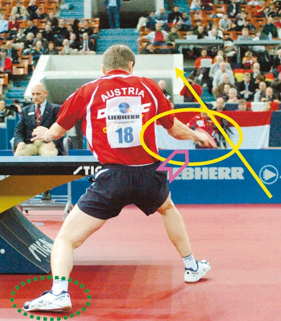 Иллюстрация к книге — Настольный теннис. Руководство от чемпиона мира [i_075.jpg]