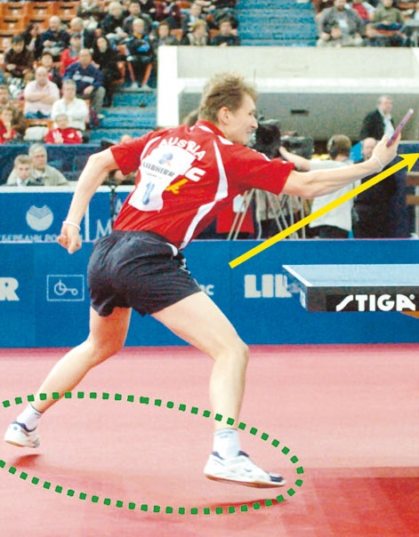 Иллюстрация к книге — Настольный теннис. Руководство от чемпиона мира [i_107.jpg]