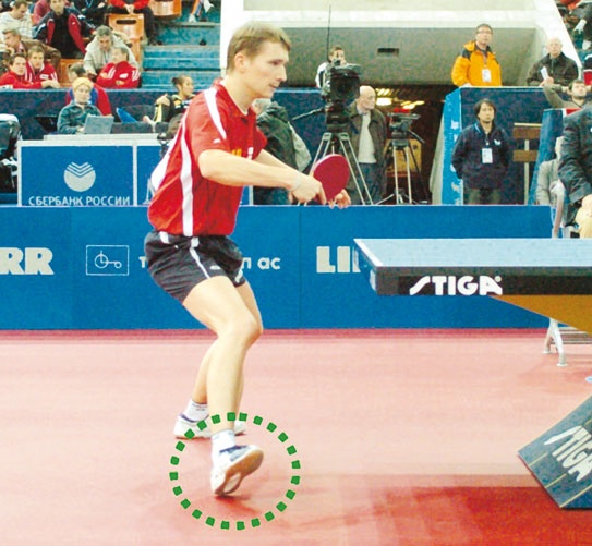 Иллюстрация к книге — Настольный теннис. Руководство от чемпиона мира [i_134.jpg]