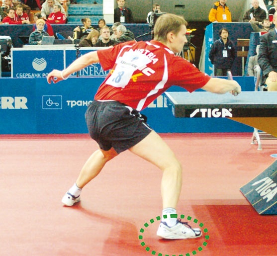 Иллюстрация к книге — Настольный теннис. Руководство от чемпиона мира [i_137.jpg]